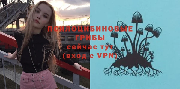 крисы Осинники