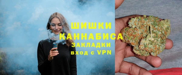 крисы Осинники