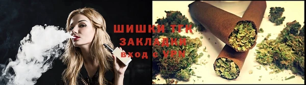 крисы Осинники