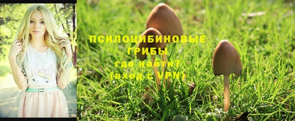 крисы Осинники