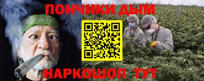 крисы Севастополь