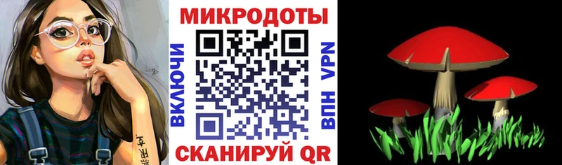 закладки Советск Псилоцибиновые грибы прущие грибы