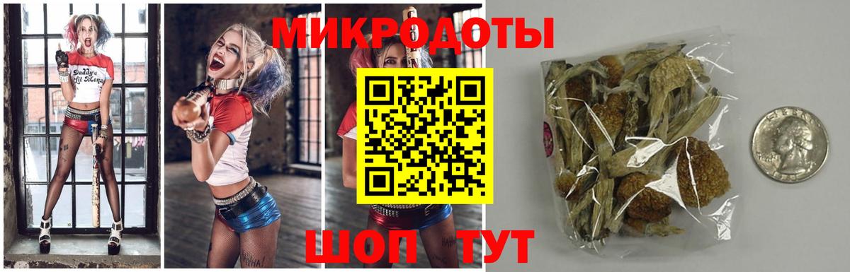 Галлюциногенные грибы Psilocybine cubensis Советск