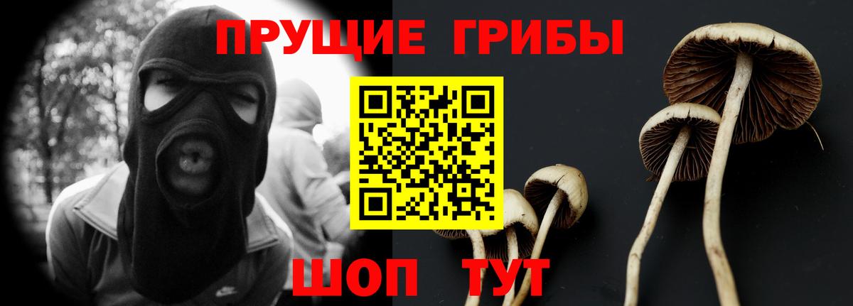 Советск  Псилоцибиновые грибы прущие грибы  Псилоцибиновые грибы GOLDEN TEACHER  продажа наркотиков  Вход с VPN 